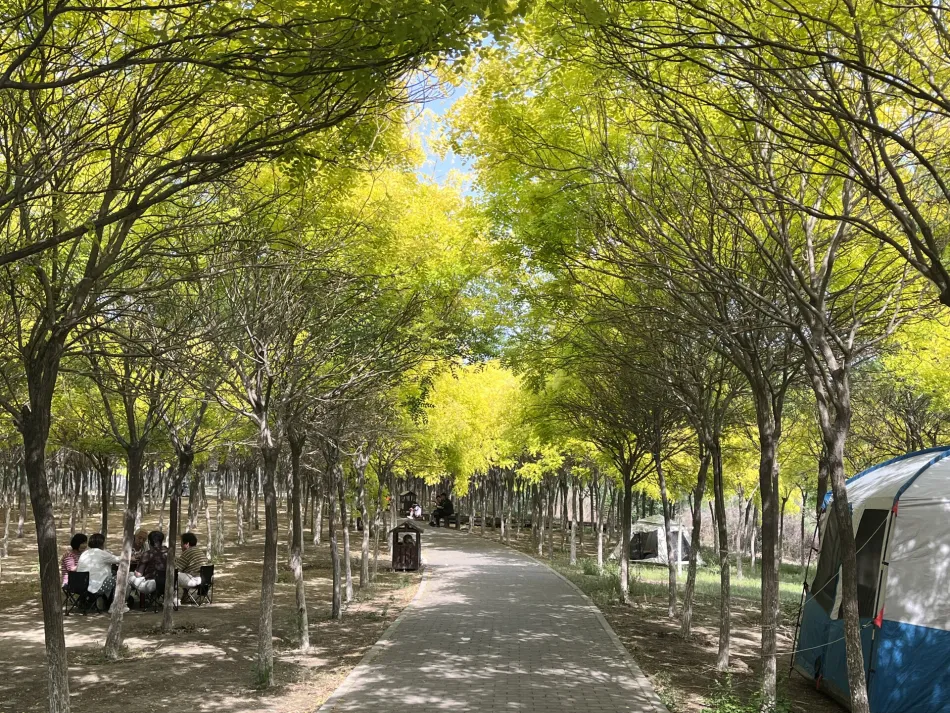 西青区西青区移动宽带